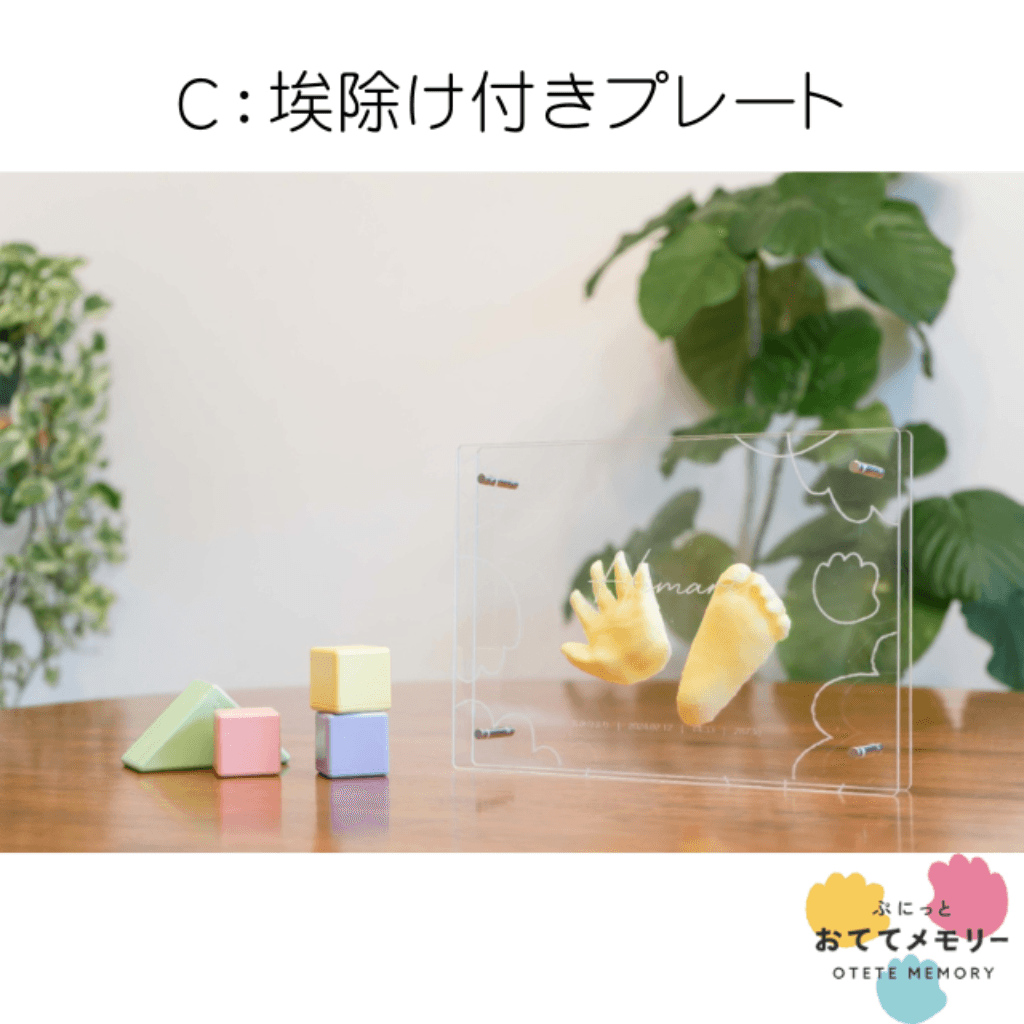  C：埃除け付きプレート